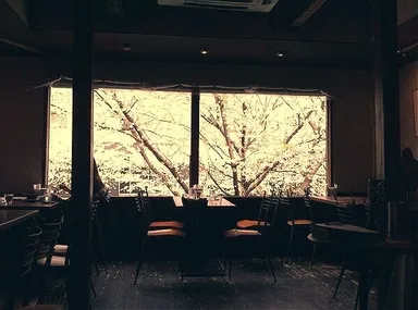 窓から見える桜