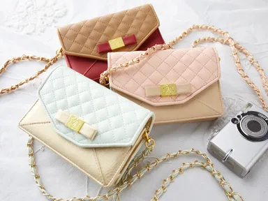 デジカメケース