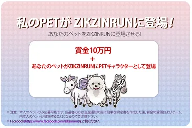 私のペットがZIKZINRUNに登場