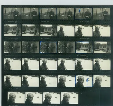 コンタクトシート