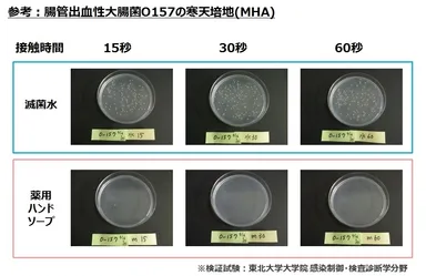 参考：腸管出血性大腸菌O157の寒天培地(MHA)