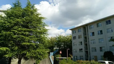 公社茶山台団地