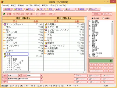 ミラクル家計簿6 DX 記帳画面