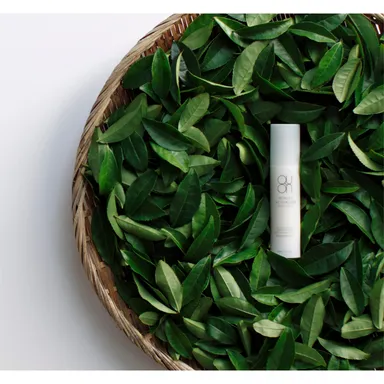 ソーシャルプロダクツ・アワード2014 大賞