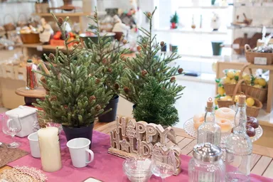 コーディネート例も豊富