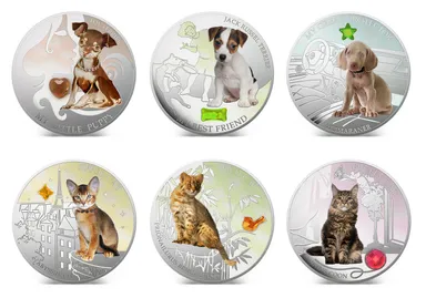 犬・猫デザイン面