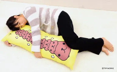 カピバラさんロ～～～ングクッション