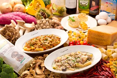 料理　集合写真