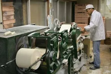 『カオラウ』製麺写真2