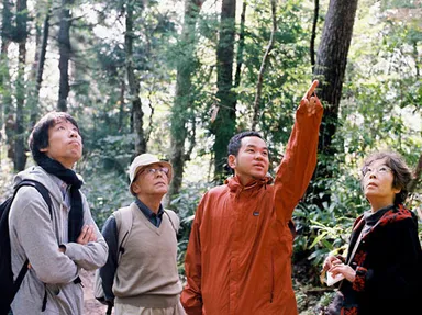 森のピクニック