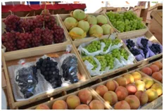 全国各地から大集結する旬の果物