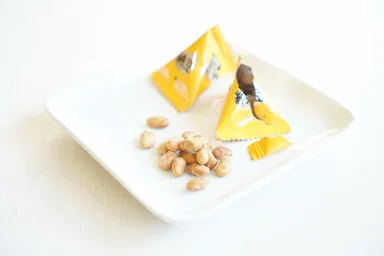 フリーズドライ納豆イメージ