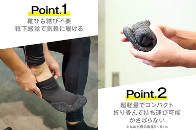 アピールポイント(1)(2)