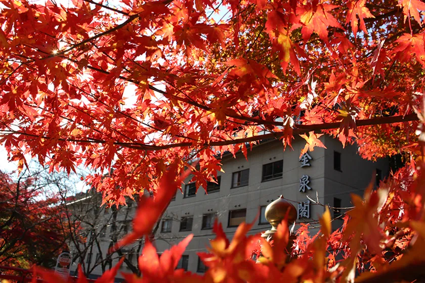 四季折々の景色：紅葉