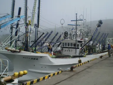 第五十三日香丸