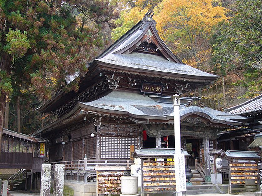 画像8