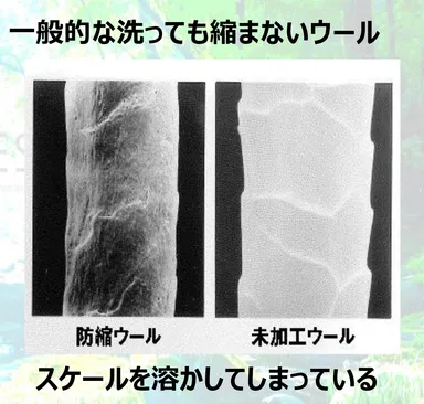 【一般的な羊毛防縮加工】繊維一本一本のスケールの性能が犠牲になっている