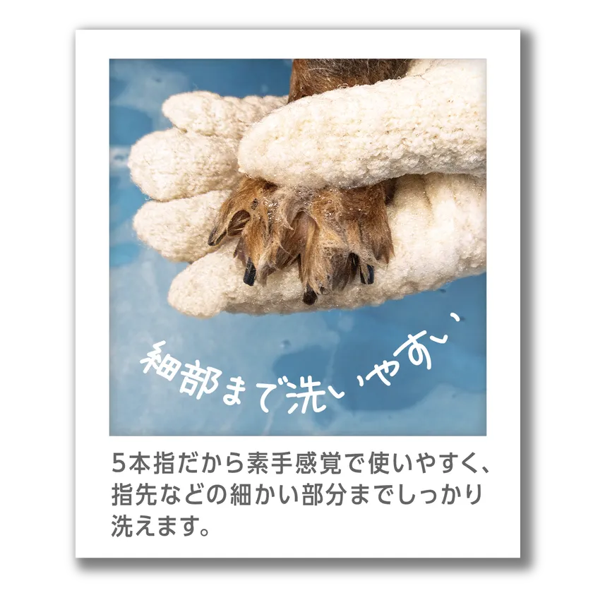 細部まで洗いやすい