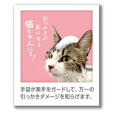 猫ちゃんにもおすすめ