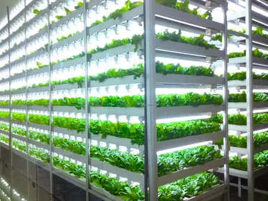 工場内完成予想図