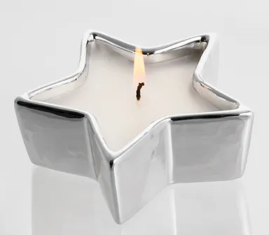 シルバースター ホワイト