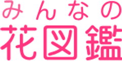 日本最大級の花の図鑑&コミュニティサイト
『みんなの花図鑑』がリニューアルオープン!