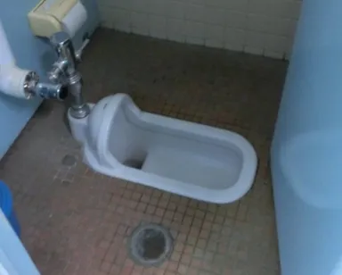 古い和式トイレから・・・