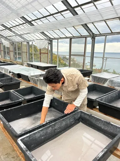 サステナブル製法の天日塩