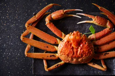 冬の香住を象徴する一杯｜鮮度と品質に定評ある松葉ガニの姿