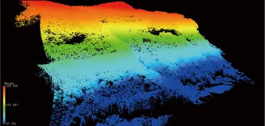 地形の高さを色別で表した森林地帯の点群