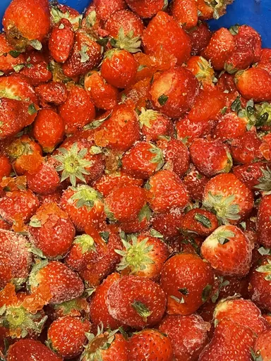 醸造で使用した規格外品