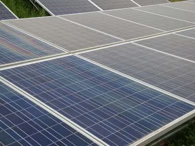 セルフクリーニング効果