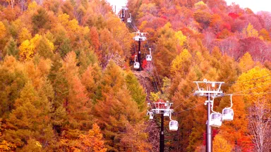 ホテルグランデコ　パノラマゴンドラ