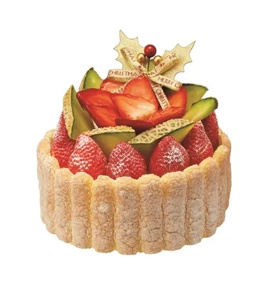 苺とメロンのスペシャルケーキ5号
