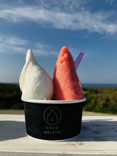 COCO GELATO NAGOYA