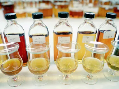 珍しい原酒の比較テイスティング