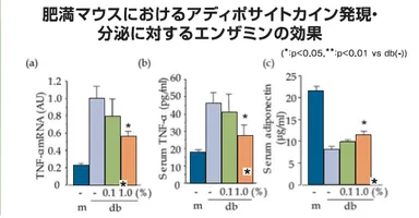 アディポサイトカイン発現に対する効果