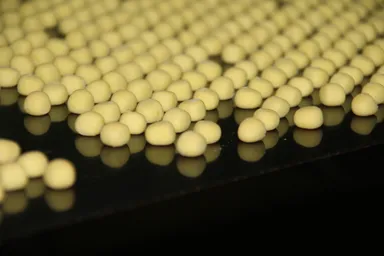 焼きたてのかぼちゃボーロ