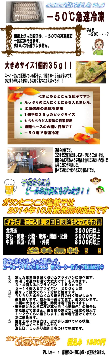 ガツンとニンニク塩餃子 2