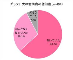 グラフ1