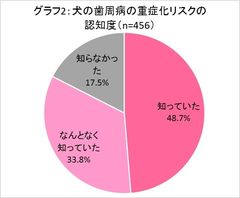 グラフ2