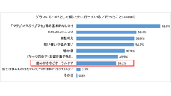 グラフ6