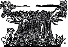 過疎の島の活性化を目指して『カケロマ島ジェノベーゼ』発売
加計呂麻島でしか作れない「きび酢」と、島民の健康を支える郷土食材を凝縮