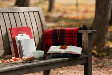 ハルニレテラス「青空図書館」