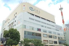 ハマボール イアス
