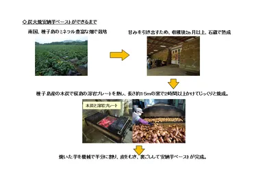 炭火焼安納芋ペーストができるまで