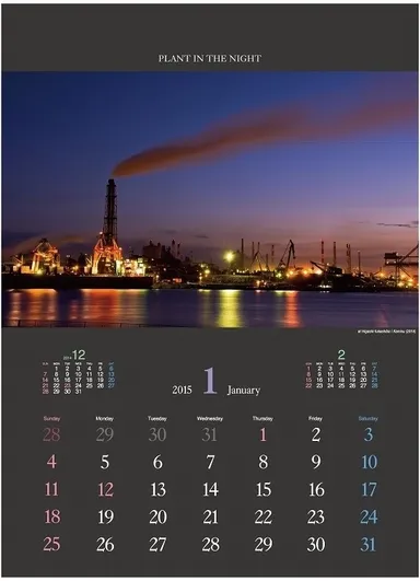 『プラント・イン・ザ・ナイト』　1月