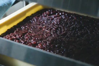 鳥取大納言を使用した自家製粒餡