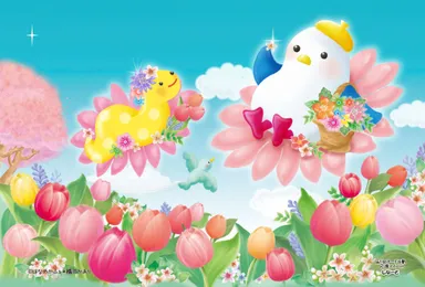 13. 写真(はなのかふぇ＊橋爪かおり)