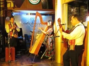 木の楽器「アルパ」の音色を聴いてみよう